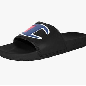 NWT Champion IPO Slide